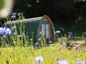 Cosy Pod-Cabin near beautiful landscape in Omagh